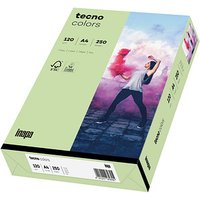 tecno Kopierpapier colors mittelgrün DIN A4 120 g/qm 250 Blatt von Tecno