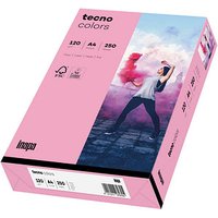 tecno Kopierpapier colors rosa DIN A4 120 g/qm 250 Blatt von Tecno