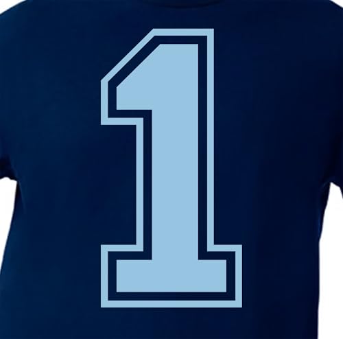15,2 cm Blue Shades Jersey Zahlen für Sport T-Shirts, Trikots, Fußball, Baseball, Basketball, Bügel-Wärmeübertragung für Team-T-Shirts (Stil C) (Hellblau_1) von TeeWin