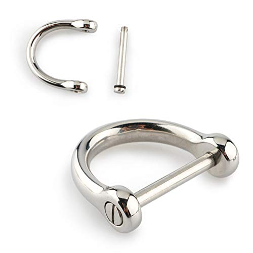 2 Stück D-Ringe mit Verschlussschraube Schäkel Hufeisen U-Form Schlüsselanhänger für DIY Handwerk Geldbörse Schlüsselanhänger Herstellung Silber 2 Stück D-Ringe mit Verschlussschraube Schäkel Hufeisen U-Form Schlüsselanhänger für DIY Handwerk Geldbörse Schlüsselanhänger Herstellung Silber von Teensery