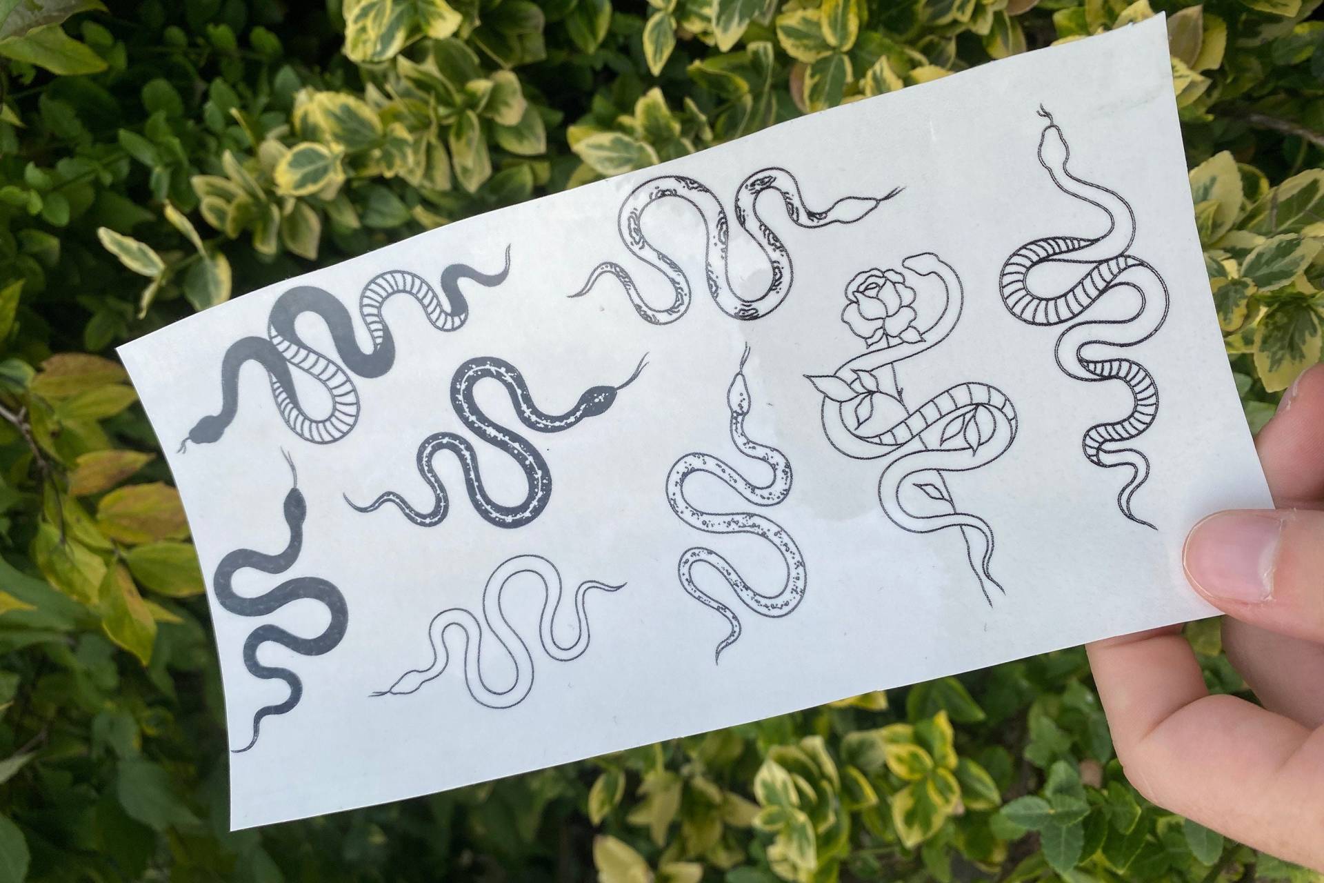 Schlange Temporäres Tattoo | 8Er Set/Schlangen Kleine Schablone Schlange Temporäres Tattoo | 8Er Set/Schlangen Kleine Schablone von TemporaryTattooInc
