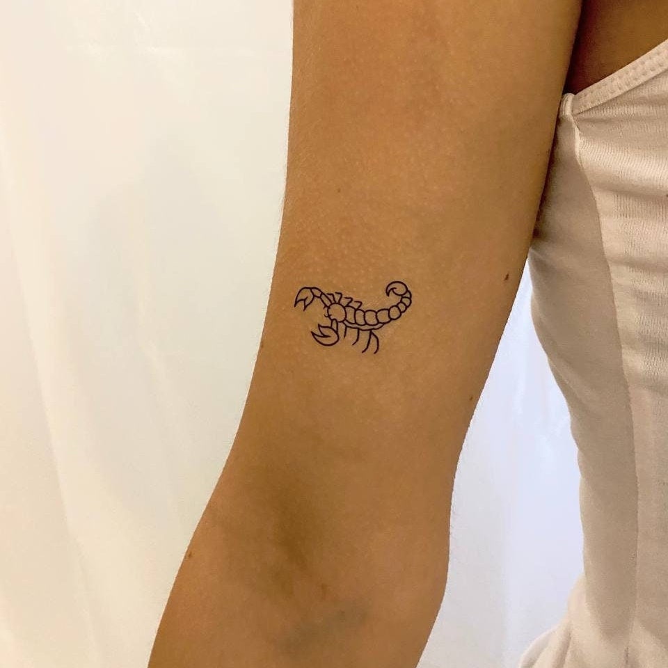 Skorpion Temporäres Tattoo | 2Er Set/Tiere Schwarz Fake Realistisch Spinnentier Skorpion Temporäres Tattoo | 2Er Set/Tiere Schwarz Fake Realistisch Spinnentier von TemporaryTattooInc