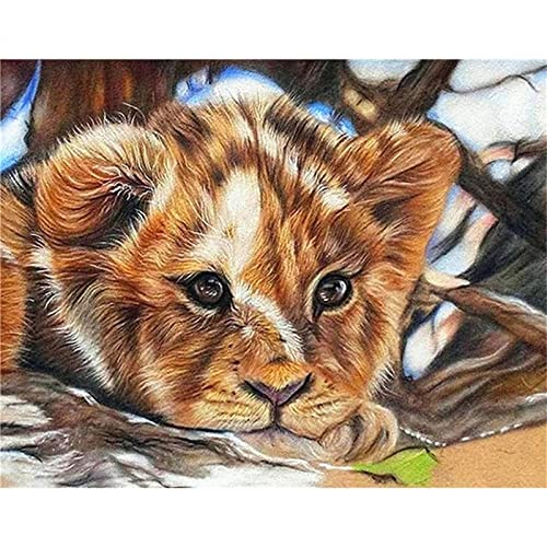 5D DIY Diamond Painting Bilder Full Drill,Löwenbaby Diamant Malen nach Zahlen Set für Erwachsene Kinder Strasssteine Kristallartiges Kreuzstichset Full für Home Wall Décor Round Drill,30x40cm von TengYuer