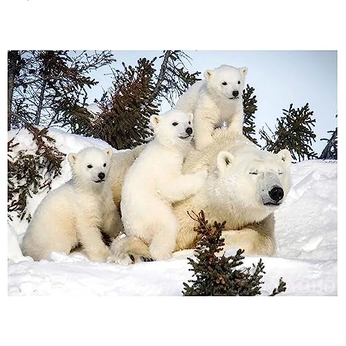 Eisbär Tiere DIY Diamond Painting, 5D Diamant Paint Kits Kristallartiges Kreuzstichset Full Diamant Malen nach Zahlen für Erwachsene Kinder für Schlafzimmer Büro Wand Dekoration Square Drill,80x100cm Eisbär Tiere DIY Diamond Painting, 5D Diamant Paint Kits Kristallartiges Kreuzstichset Full Diamant Malen nach Zahlen für Erwachsene Kinder für Schlafzimmer Büro Wand Dekoration Square Drill,80x100cm von TengYuer