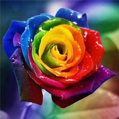 TengYuer Diamond Painting Set for Adults DIY 5D Diamond Painting Regenbogen Rosen Crystal Rhinestone Embroidery Painting Painting by Numbers Diamond Beginners Home Wall Decor 70x70cm von TengYuer