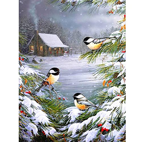 Wintervögel DIY Diamond Painting, 5D Diamant Paint Kits Kristallartiges Kreuzstichset Full Diamant Malen nach Zahlen für Erwachsene Kinder für Schlafzimmer Büro Wand Dekoration Square Drill,70x90cm Wintervögel DIY Diamond Painting, 5D Diamant Paint Kits Kristallartiges Kreuzstichset Full Diamant Malen nach Zahlen für Erwachsene Kinder für Schlafzimmer Büro Wand Dekoration Square Drill,70x90cm von TengYuer