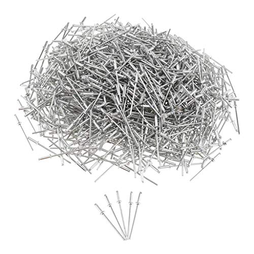 Tenlacum Dome Head POP Nieten Offener Blindnieten Edelstahl (1000 Stück) (2,4 x 8 mm) von Tenlacum