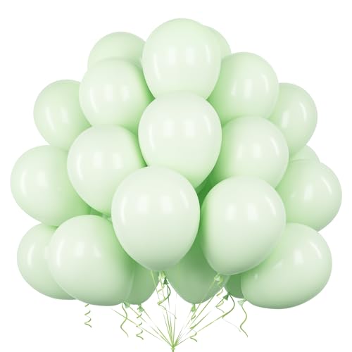 Teselife Luftballons Pastell Grün, 50 Stück 12 Zoll Macaron Baby Grün Ballons Girlande Mädchen Junge Kinder Geburtstag Hochzeit Jahrestag Valentinstag Abschlussfeier Baby Shower Bachelor Party Teselife Luftballons Pastell Grün, 50 Stück 12 Zoll Macaron Baby Grün Ballons Girlande Mädchen Junge Kinder Geburtstag Hochzeit Jahrestag Valentinstag Abschlussfeier Baby Shower Bachelor Party von Teselife