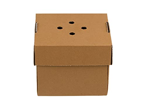 Tessera Bio Products Q121210K Kraftpapier Foodbox zum Falten, Einzelnburger, FSC Zertifiziert, Naturfarbe, 12cm Länge, 12cm Breite, 10cm Höhe, 100 pcs Tessera Bio Products Q121210K Kraftpapier Foodbox zum Falten, Einzelnburger, FSC Zertifiziert, Naturfarbe, 12cm Länge, 12cm Breite, 10cm Höhe, 100 pcs von Tessera Bio Products