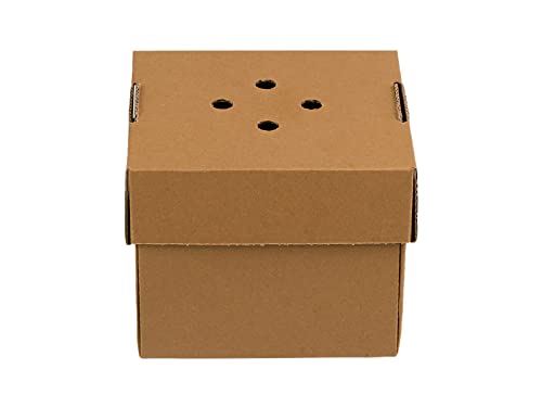 Tessera Bio Products Q121210K Kraftpapier Foodbox zum Falten, Einzelnburger, FSC Zertifiziert, Naturfarbe, 12cm Länge, 12cm Breite, 10cm Höhe, 100 pcs von Tessera Bio Products