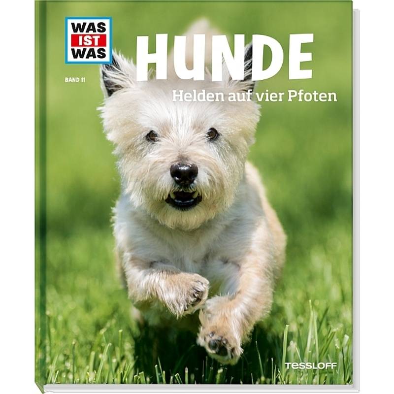 Hunde / Was Ist Was Bd.11 - Christine Paxmann, Gebunden von Tessloff Verlag Ragnar Tessloff GmbH & Co. KG