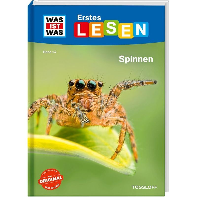 Was Ist Was Erstes Lesen Band 24. Spinnen - Christina Braun, Gebunden von Tessloff Verlag Ragnar Tessloff GmbH & Co. KG