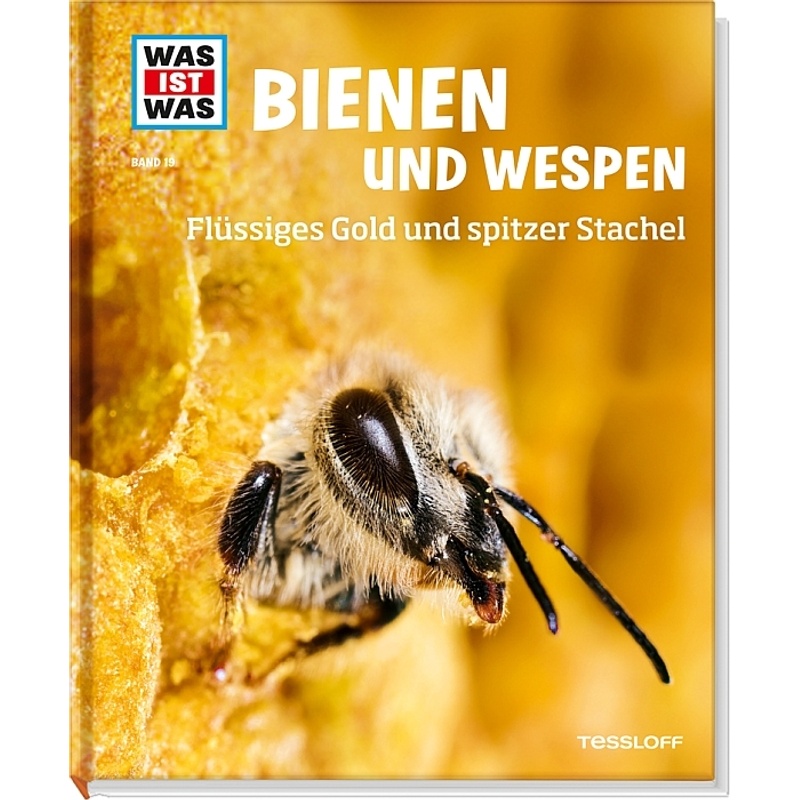 Bienen Und Wespen / Was Ist Was Bd.19 - Alexandra Rigos, Gebunden von Tessloff