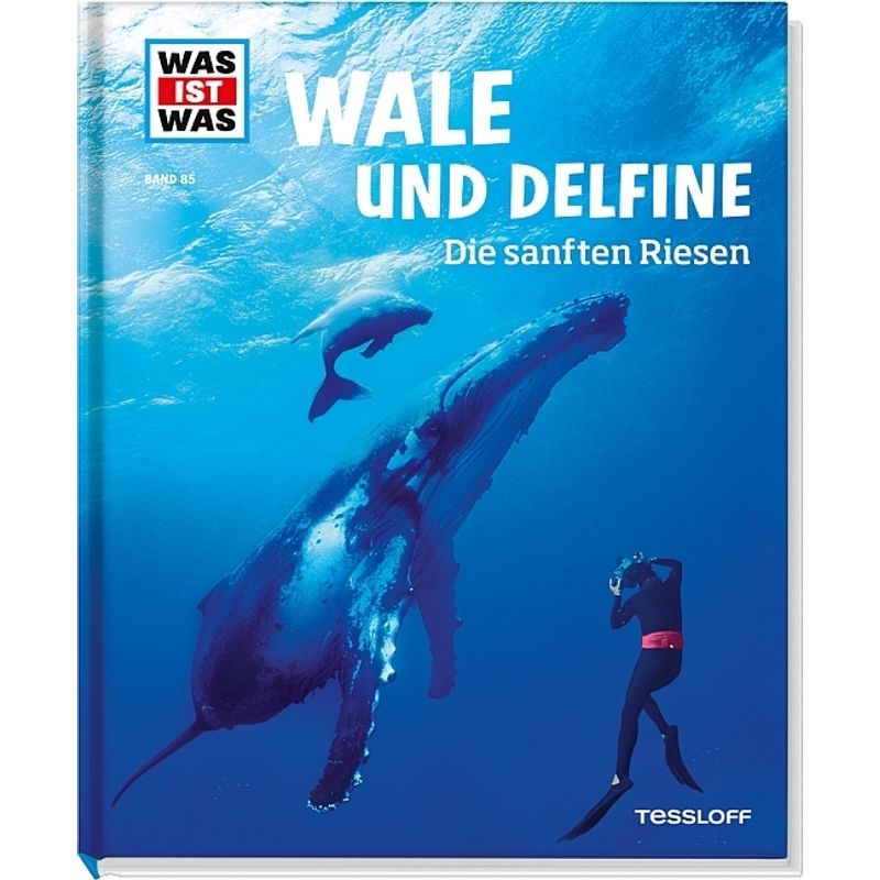 Wale Und Delfine. Die Sanften Riesen / Was Ist Was Bd.85 - Manfred Baur, Gebunden von Tessloff