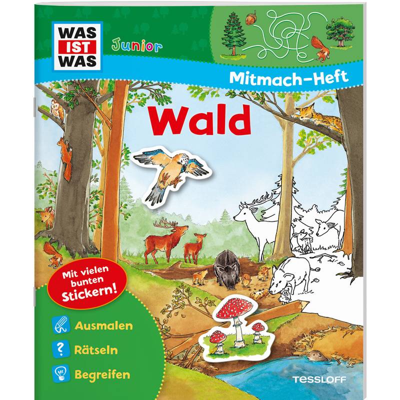 Was Ist Was Junior Mitmach-Heft Wald - Birgit Bondarenko, Sabine Schuck, Kartoniert (TB) von Tessloff