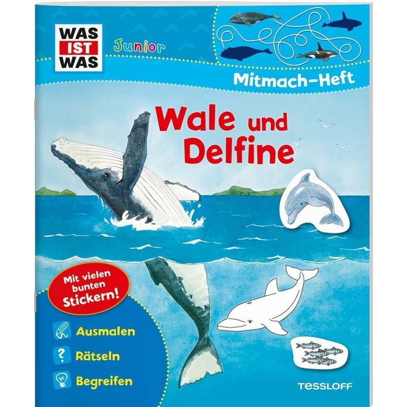 Was Ist Was Junior Mitmach-Heft. Wale Und Delfine. - Tatjana Marti, Kartoniert (TB) von Tessloff