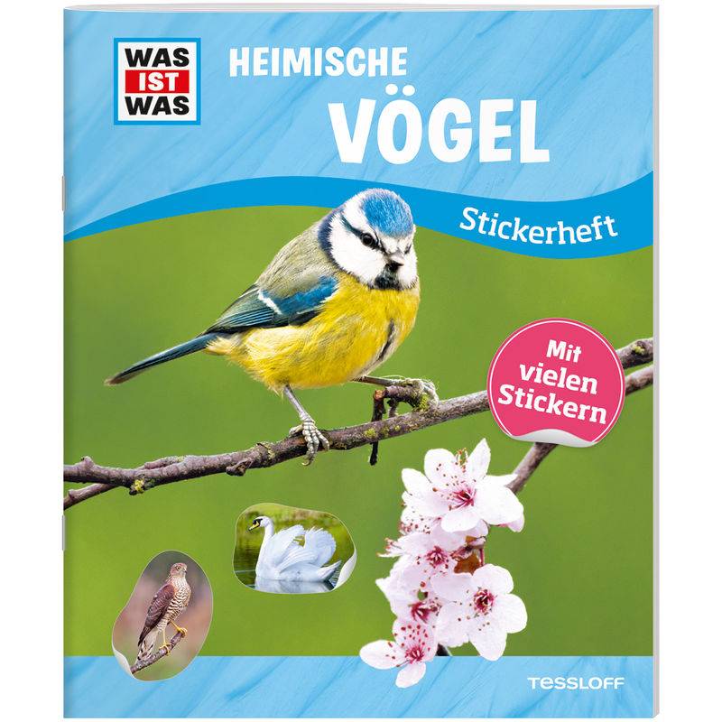 Was Ist Was Stickerheft: Heimische Vögel - Carolin Langbein, Geheftet von Tessloff
