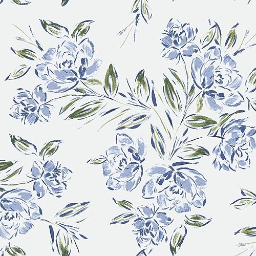 Texco Inc 147,3 cm breiter bedruckter Hi-Multi-Chiffon-gewaschener Stoff, nicht dehnbar, leicht, 85 g/m², atmungsaktiv und knitterfrei, für Bekleidung, Vorhänge und DIY-Projekte, Hellsilberblau, 4,5 m von Texco