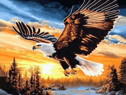 Adler Diamond Painting Erwachsene Diamond Painting Sonnenuntergang 5D DIY Runder Full Drill Diamanten Malerei Bastelset Kits für Anfänger und Kinder, Geschenke Home Wand Dekor 80x100cm, Model266 von Tgllzzca