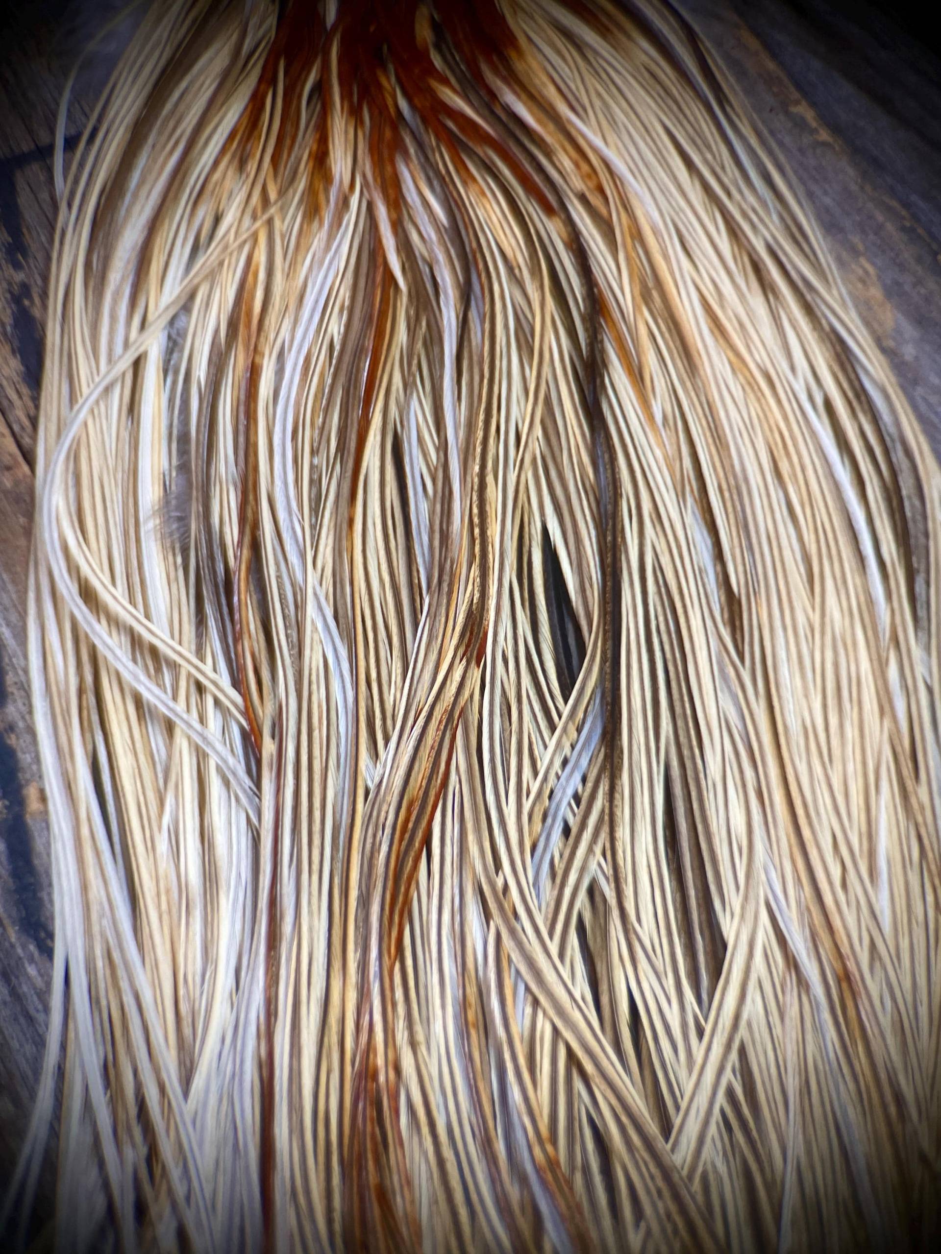 Natürliche Blonde Hahnfedern - Feder Haarverlängerungen 5 Echte Federn Diy Boho Federverlängerungen Natürliche Blonde Hahnfedern - Feder Haarverlängerungen 5 Echte Federn Diy Boho Federverlängerungen von TheFeathersmiths