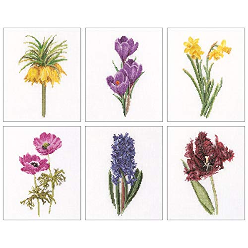 Thea GOUVERNEUR SINCE 1959 3083A Floral Studies 3 On Aida Kreuzstich-Set, 17,1 x 20,3 cm, 18-fädig, 6 Stück, Stoff, durchsichtig, 6 x 17x20cm Thea GOUVERNEUR SINCE 1959 3083A Floral Studies 3 On Aida Kreuzstich-Set, 17,1 x 20,3 cm, 18-fädig, 6 Stück, Stoff, durchsichtig, 6 x 17x20cm von Thea GOUVERNEUR SINCE 1959