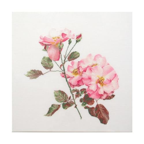 Thea Gouverneur - Gezählter Kreuzstich Kit - 412A - Vorsortierte DMC-Garne - Rosa Leersum - Aida - 44cm x 44cm - DIY Kit Thea Gouverneur - Gezählter Kreuzstich Kit - 412A - Vorsortierte DMC-Garne - Rosa Leersum - Aida - 44cm x 44cm - DIY Kit von Thea GOUVERNEUR SINCE 1959