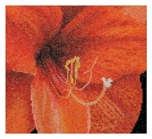 Thea Gouverneur - Kreuzstich-Set - Amaryllis Aida - Aida - 18 Count - Für Erwachsene - 496A Thea Gouverneur - Kreuzstich-Set - Amaryllis Aida - Aida - 18 Count - Für Erwachsene - 496A von Thea GOUVERNEUR SINCE 1959