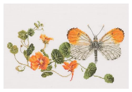 Thea Gouverneur - Kreuzstich-Set - Ostindischer Kirschschmetterling - Leinen - 36 Count - Für Erwachsene - 437 Thea Gouverneur - Kreuzstich-Set - Ostindischer Kirschschmetterling - Leinen - 36 Count - Für Erwachsene - 437 von Thea GOUVERNEUR SINCE 1959