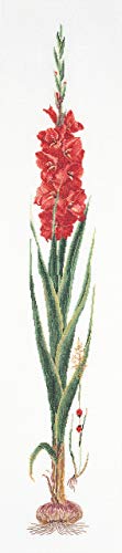Thea Gouverneur - Kreuzstich-Set - Roter Gladiolus - Aida - 18 Count - Für Erwachsene - 3073A Thea Gouverneur - Kreuzstich-Set - Roter Gladiolus - Aida - 18 Count - Für Erwachsene - 3073A von Thea GOUVERNEUR SINCE 1959