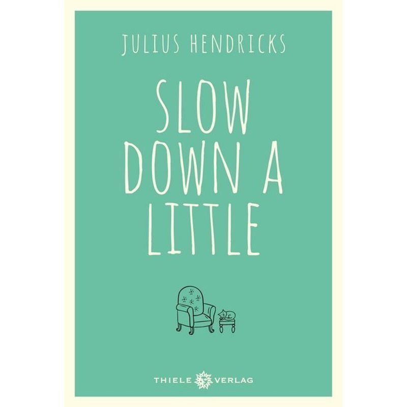 Slow Down A Little - Julius Hendricks, Gebunden von Thiele