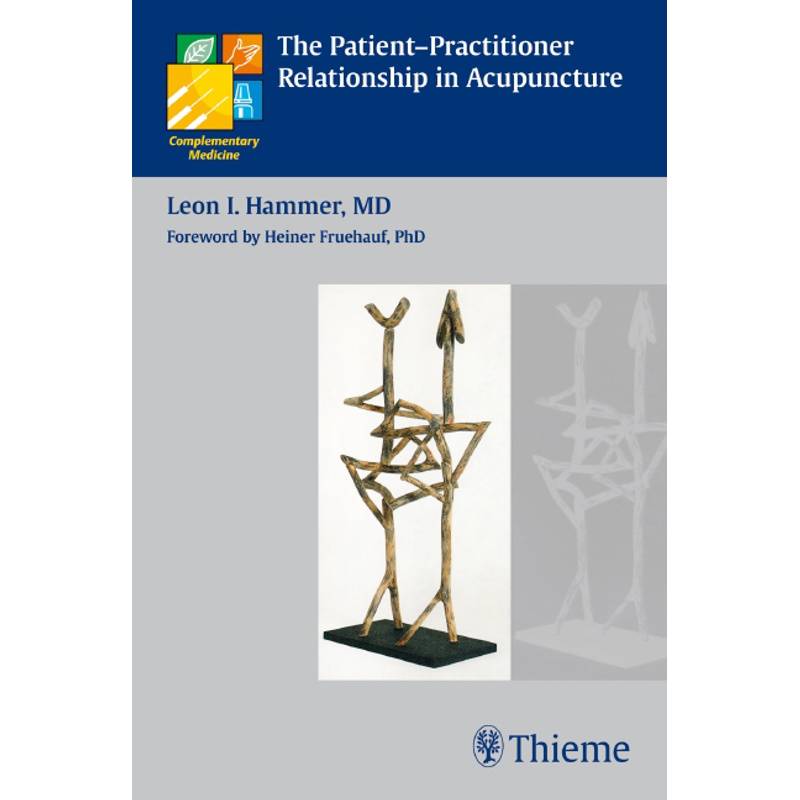 The Patient-Practitioner Relationship In Acupuncture - Leon I. Hammer, Kartoniert (TB) von Thieme, Stuttgart