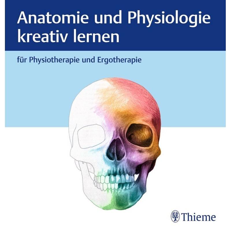 Anatomie Und Physiologie Kreativ Lernen Für Physiotherapie Und Ergotherapie, Gebunden von Thieme, Stuttgart