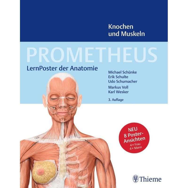 Prometheus Lernposter Der Anatomie, Knochen Und Muskeln von Thieme, Stuttgart