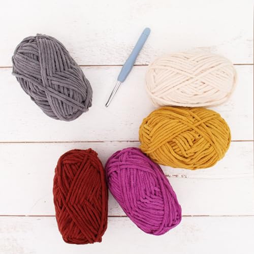 ThreadArt Chenille-Garn-Set zum Häkeln, Stricken, Amigurumi, superweiches Plüsch-Samtgarn – wilde Feigenfarben – Packung mit 5 Knäueln – 50 g #5 flauschige Knäuel – Plüschgarn ThreadArt Chenille-Garn-Set zum Häkeln, Stricken, Amigurumi, superweiches Plüsch-Samtgarn – wilde Feigenfarben – Packung mit 5 Knäueln – 50 g #5 flauschige Knäuel – Plüschgarn von Threadart