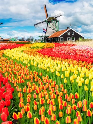 45x60cm Diamond Painting Set Tulpen Windmühlen DIY Mosaikherstellung Diamont Painting Kinder Bastelset Geschenk, Erwachsene Anfänger Diamant Painting Bilder für Home Büro Aesthetic Room Décor J-11617 von Tifnuer