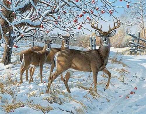 Diamant Painting Bilder Schneeglöckchen Hirsch Basteln Erwachsene Wand Dekor, 5D Diamond Painting Full Drill Diamant Dots Art Embroidery Craft Set Kreuzstich Diamond Painting Zubehör 20x30cm I-11865 von Tifnuer