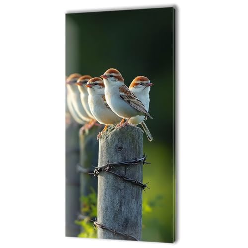 Malen Nach Zahlen Erwachsene, Malen Nach Zahlen Tier Vogel, XXL DIY Ölgemälde Kit mit 3- Pinseln und Acrylfarben, Erwachsene Kunsthandwerk für Zuhause, Deko Wohnzimmer (Ohne Rahmen) 70x140cm w-261 von Tifnuer
