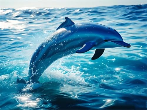 Malen Nach Zahlen Erwachsene Delphin Tier Malen Nach Zahlen Kinder, DIY Handgemalt Ölgemälde Kit, Mit 3 Pinsel und Hochwertige Acrylfarben Leinwand Basteln, für Home Wand Decor Geschenk 70x90cm w-200 Malen Nach Zahlen Erwachsene Delphin Tier Malen Nach Zahlen Kinder, DIY Handgemalt Ölgemälde Kit, Mit 3 Pinsel und Hochwertige Acrylfarben Leinwand Basteln, für Home Wand Decor Geschenk 70x90cm w-200 von Tifnuer