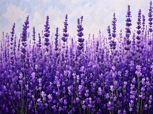 Malen Nach Zahlen Erwachsene Lila Lavendel Malen Nach Zahlen Kinder, DIY Handgemalt Ölgemälde Kit, Mit 3 Pinsel und Hochwertige Acrylfarben Leinwand Basteln, für Home Wand Decor Geschenk 30x40cm w-499 von Tifnuer