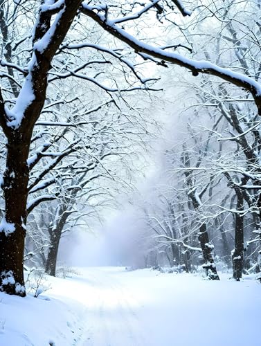 Malen Nach Zahlen Erwachsene Schnee Baum Malen Nach Zahlen Kinder, DIY Handgemalt Ölgemälde Kit, Mit 3 Pinsel und Hochwertige Acrylfarben Leinwand Basteln, für Home Wand Decor Geschenk 90x120cm w-951 von Tifnuer