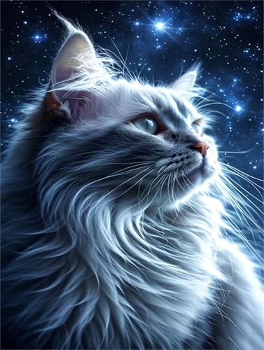 Malen Nach Zahlen Erwachsene Sternenhimmel Katze Malen Nach Zahlen Kinder, DIY Handgemalt Ölgemälde Kit, Mit 3 Pinsel und Hochwertige Acrylfarben Leinwand Basteln für Home Wand Decor 90x120cm w-936 Malen Nach Zahlen Erwachsene Sternenhimmel Katze Malen Nach Zahlen Kinder, DIY Handgemalt Ölgemälde Kit, Mit 3 Pinsel und Hochwertige Acrylfarben Leinwand Basteln für Home Wand Decor 90x120cm w-936 von Tifnuer