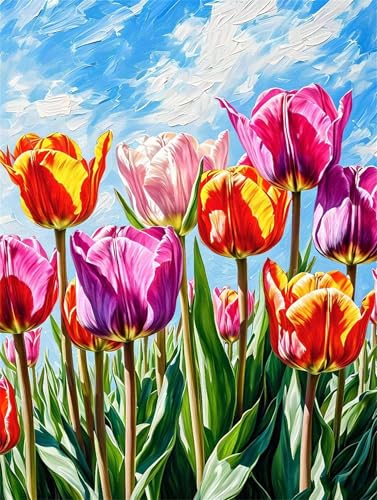 Malen Nach Zahlen Erwachsene Tulpe Blume Malen Nach Zahlen Kinder, DIY Handgemalt Ölgemälde Kit, Mit 3 Pinsel und Hochwertige Acrylfarben Leinwand Basteln, für Home Wand Decor Geschenk 50x65cm w-963 Malen Nach Zahlen Erwachsene Tulpe Blume Malen Nach Zahlen Kinder, DIY Handgemalt Ölgemälde Kit, Mit 3 Pinsel und Hochwertige Acrylfarben Leinwand Basteln, für Home Wand Decor Geschenk 50x65cm w-963 von Tifnuer