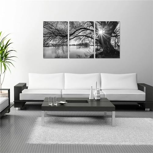 Tree Lake Diamond Art Painting 3 Stück Diamant Painting Bilder, 50x75cm 3 Pack Diamond Painting Kinder Erwachsene Bastelset DIY 5D Full Drill Diamant Dots Rhinestone Embroidery Set Home Décor F-7620 von Tifnuer