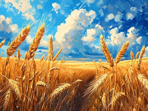Van Gogh Weizenfeld Malen Nach Zahlen, DIY Set Erwachsene Malen Nach Zahlen , auf Leinwand Acrylmalerei Nach Zahlen mit 3 Pinsel und Acrylfarben Basteln Mädchen Geschenk 20x30cm (Rahmenlos) I-1575 von Tifnuer