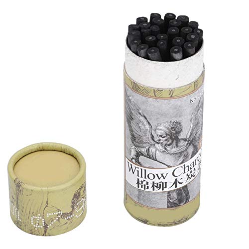 25PCS Professionelle Kohlestifte Zeichenset, Zeichenkohle Bleistifte Set Künstlerkohlestifte Skizzierstift Set Skizze Stift Zeichnen Lernen Skizzieren Schattierungsskizzenzubehör Anfänger Künstler von Tiiyee