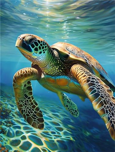 5D Diamant Painting Bilder, Diamond Painting Tier Schildkröte Diamond Art Painting Set zubehör, Diamant Art Malen Nach Zahlen Basteln Erwachsene, Diamant Malerei für Home Wand Dekor 40x50cm k-81 5D Diamant Painting Bilder, Diamond Painting Tier Schildkröte Diamond Art Painting Set zubehör, Diamant Art Malen Nach Zahlen Basteln Erwachsene, Diamant Malerei für Home Wand Dekor 40x50cm k-81 von Tinnoon