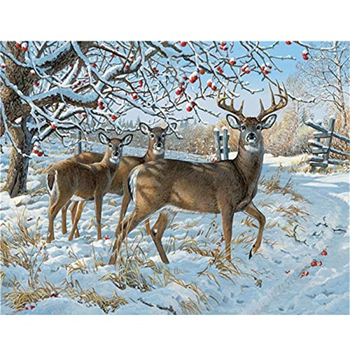 Diamond Painting Reh, DIY Malen Nach Zahlen Erwachsene Kinder Stickerei, 5D Diamant Painting Bilder Schlafzimmer, Daiments Malerei Voll Zubehör, Mosaik Diamant Malerei Wall Art Decor, 30x40cm/12x16in Diamond Painting Reh, DIY Malen Nach Zahlen Erwachsene Kinder Stickerei, 5D Diamant Painting Bilder Schlafzimmer, Daiments Malerei Voll Zubehör, Mosaik Diamant Malerei Wall Art Decor, 30x40cm/12x16in von Tinnoon