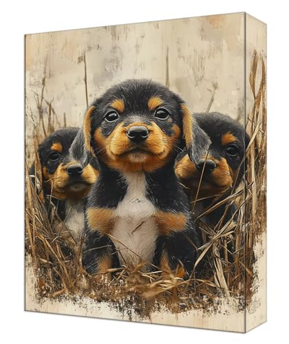 Malen Nach Zahlen Erwachsene Gras Hund, Kinder DIY Handgemalt Ölgemälde Kit, Knitterfreie Leinwand, Pinsels Und Acrylfarbe, Basteln Erwachsene Kit, Kreativität Geschenk Heimdekoration 45x60cm T-81 Malen Nach Zahlen Erwachsene Gras Hund, Kinder DIY Handgemalt Ölgemälde Kit, Knitterfreie Leinwand, Pinsels Und Acrylfarbe, Basteln Erwachsene Kit, Kreativität Geschenk Heimdekoration 45x60cm T-81 von Tinnoon