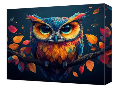 Malen Nach Zahlen Farbe Eule Malen Nach Zahlen Kinder ab 7, DIY Set Erwachsene, mit Pinseln und Acrylfarben, Knitterfreie Leinwand Kit, Kreatives für Erwachsene, Home Deko 60x80cm (Ohne Rahmen) T-84 von Tinnoon