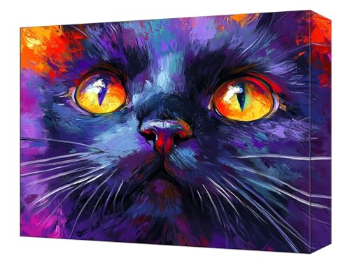 Malen Nach Zahlen Farbe Katze Malen Nach Zahlen Kinder ab 7, DIY Set Erwachsene, mit Pinseln und Acrylfarben, Knitterfreie Leinwand Kit, Kreatives für Erwachsene, Home Deko 40x50cm (Ohne Rahmen) T-78 von Tinnoon